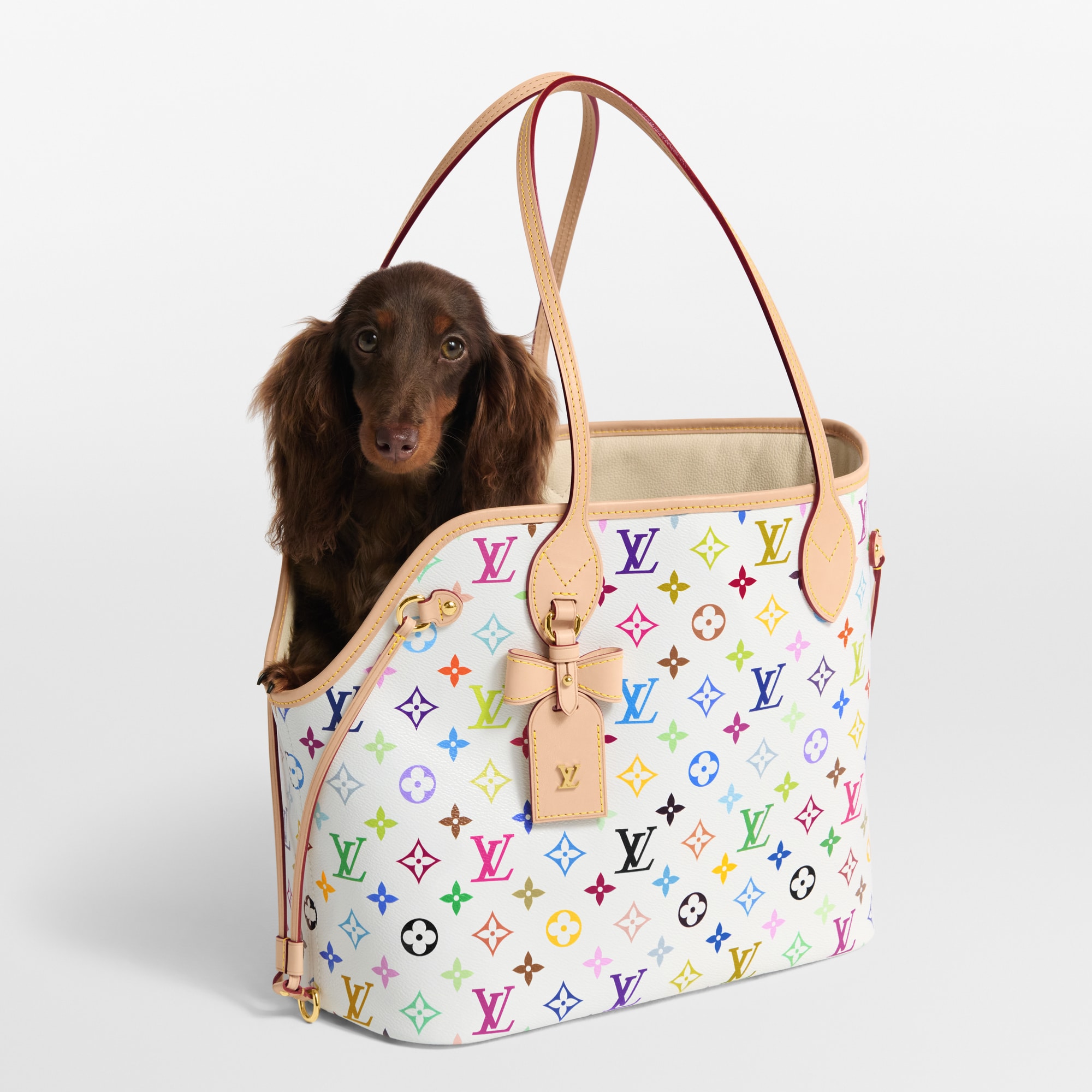 LV x TM Neverwoof Other Monogram Canvas - Travel | LOUIS VUITTON